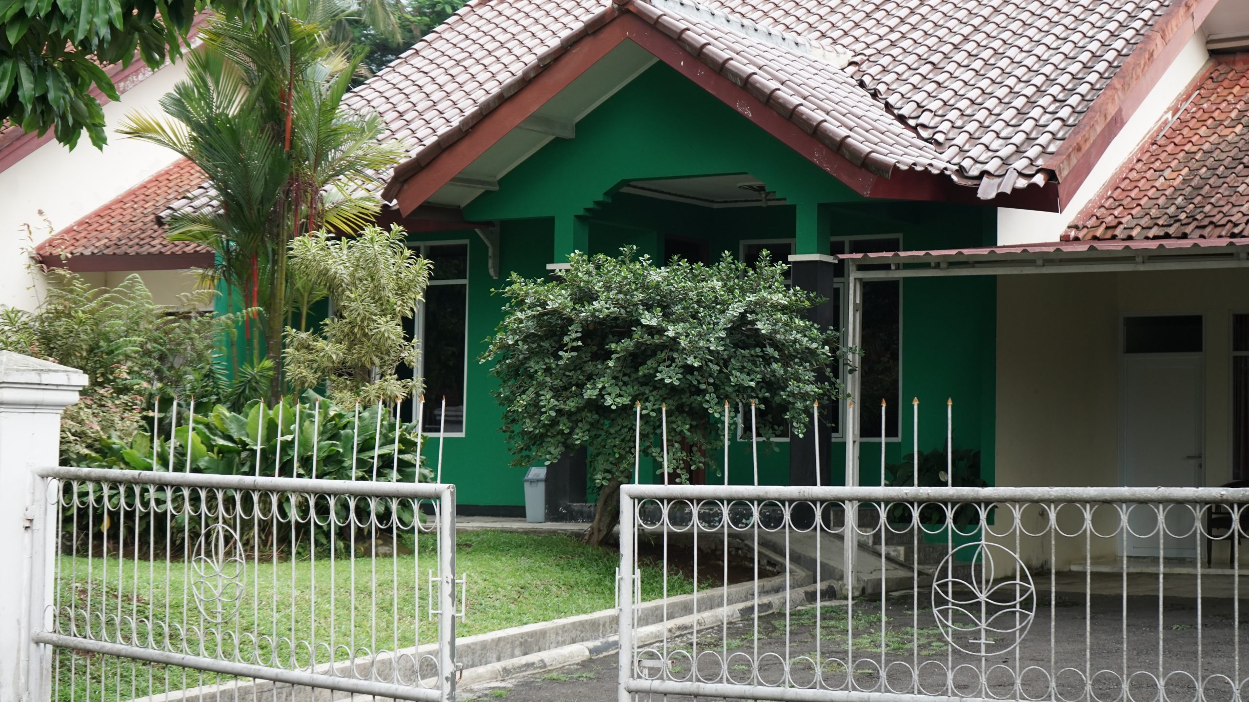 DSC00506