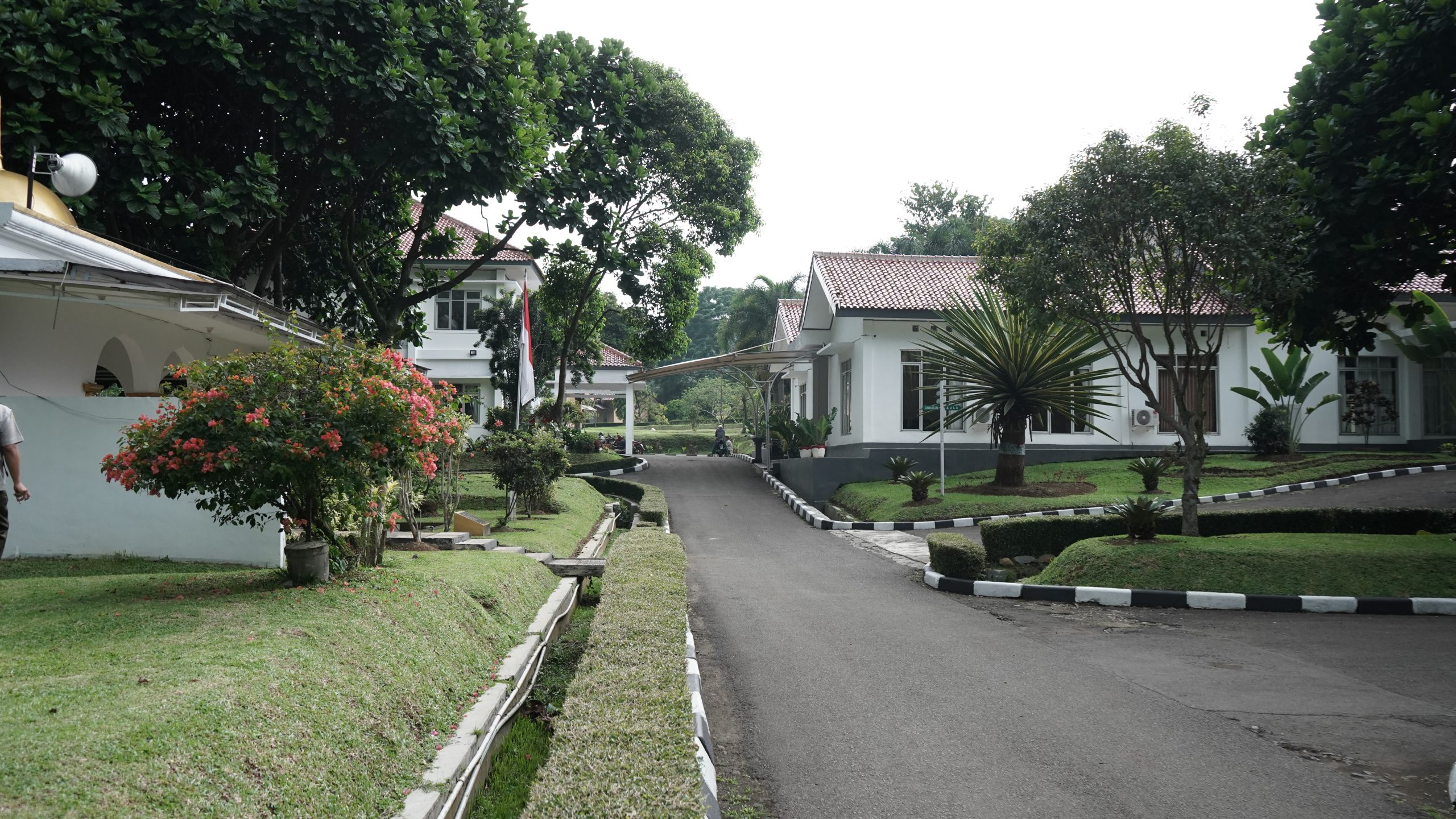 DSC00512